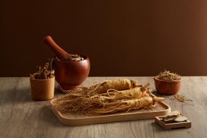 Panax ginseng: van traditionele geneeskunde naar nu