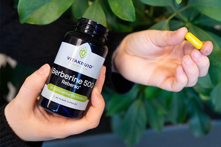 Berberine: de werking en oorsprong Berberine: de werking en oorsprong