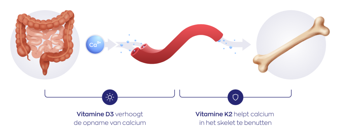 Vitamine D3 & K2 softgels