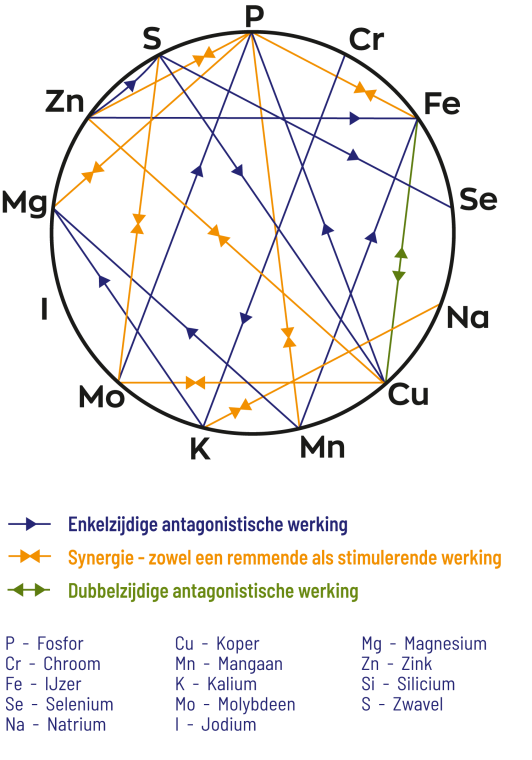 IJzer Bisglycinaat Complex