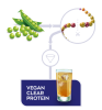 Vegan Clear Protein