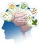 Geheugenformule