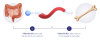 Vitamine D3 & K2 tabletten