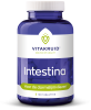 Intestina