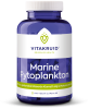 Marine Fytoplankton