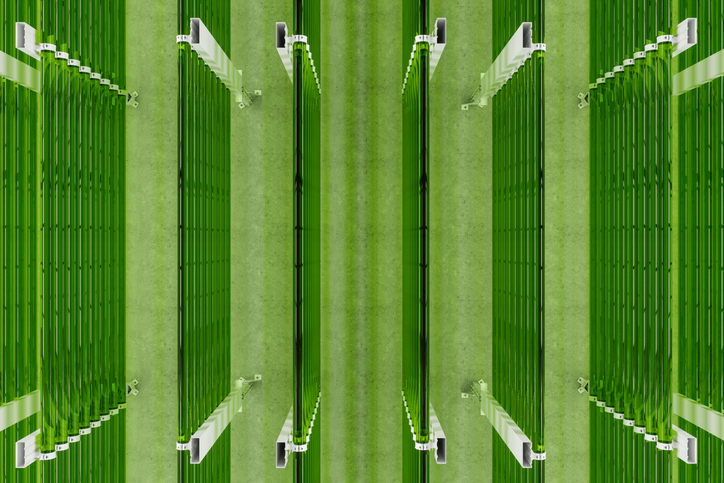 Groene buizen van het chlorofyl