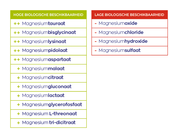 Biologische beschikbaarheid magnesiumvormen
