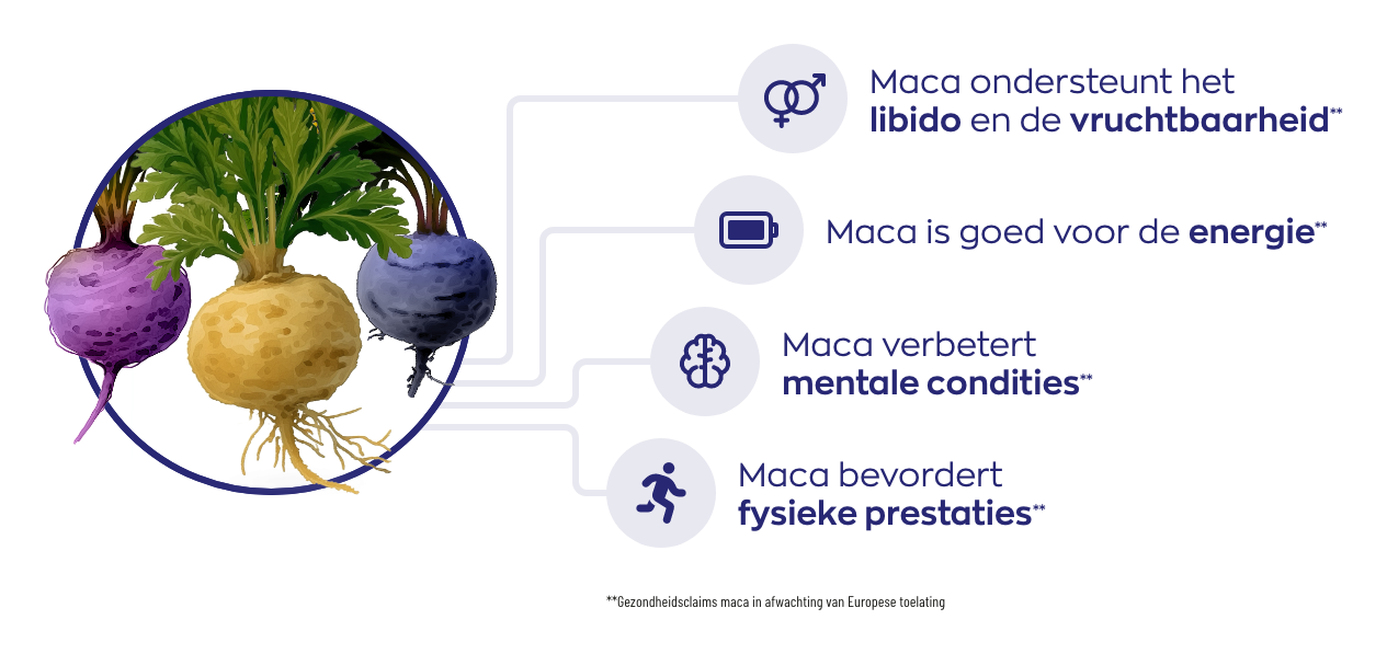 Visual Maca3 Complex