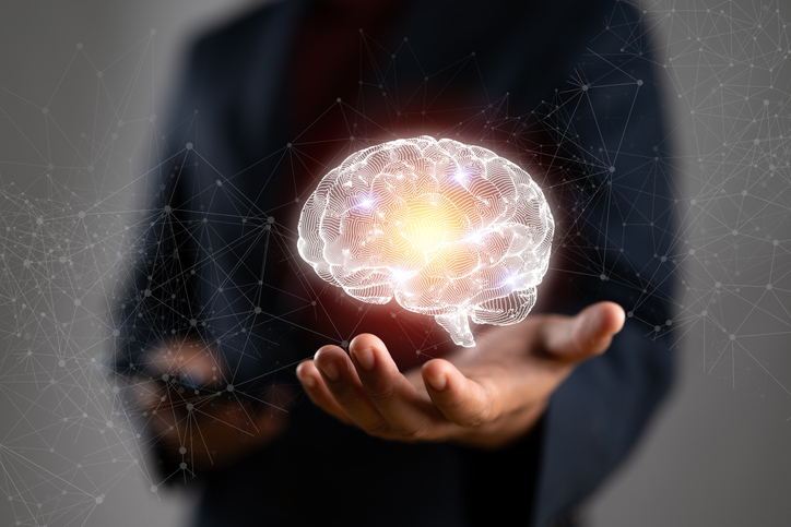 Netwerk van de hersenen