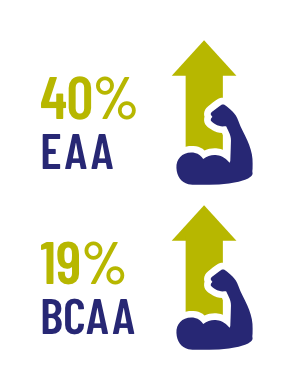 infographic EAA en BCAA percentage