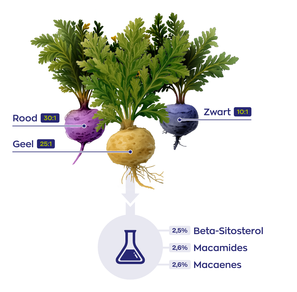 Visual Maca soorten