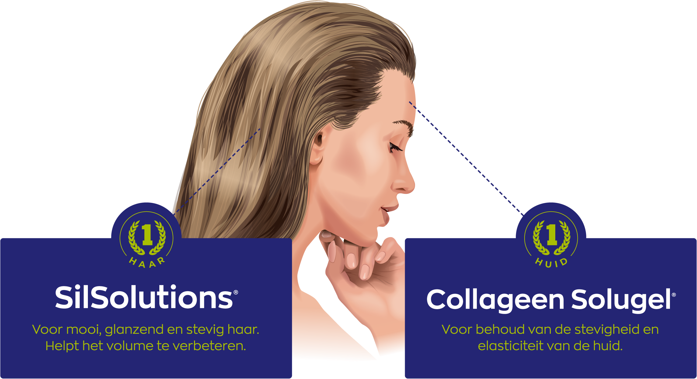 SilSolutions en Collageen Solugel
