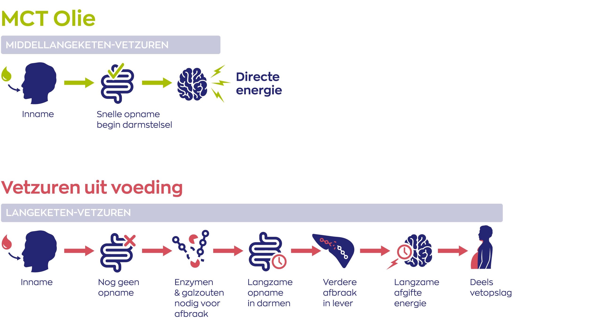 MCT Olie - Vetzuren uit voeding