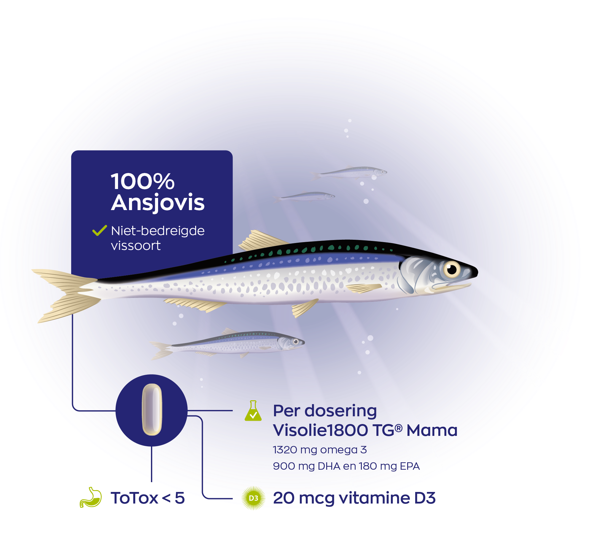 infographic Visolie 1800 TG® Mama Inhoudelijk