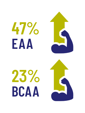 percentages EAA en BCAA met een pijl omhoog uit een armspier